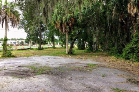 Terreno en alquiler en Homosassa, Florida № 1907959 - foto 1