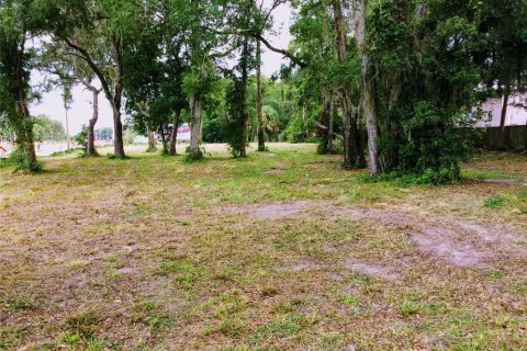Terreno en alquiler en Homosassa, Florida № 1907959 - foto 3