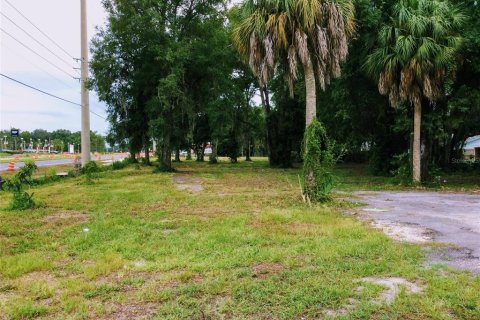 Terreno en alquiler en Homosassa, Florida № 1907959 - foto 4