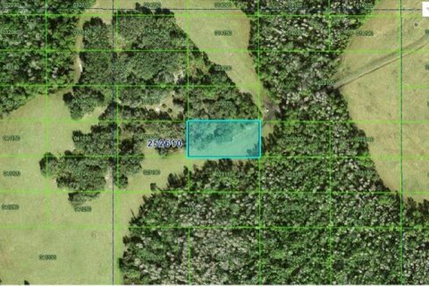 Terreno en Polk City, Florida № 2235006