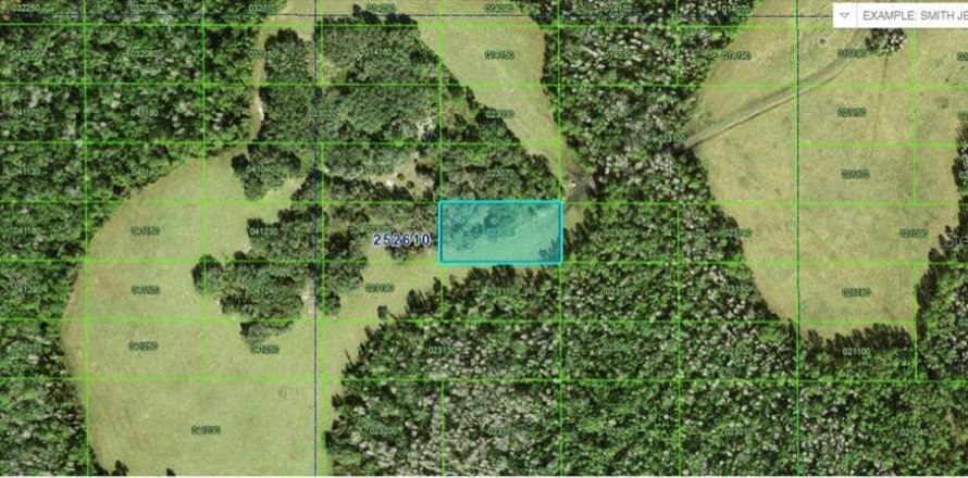 Terreno en Polk City, Florida № 2235006