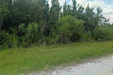 Land in Indian lake estates, Florida № 2209347