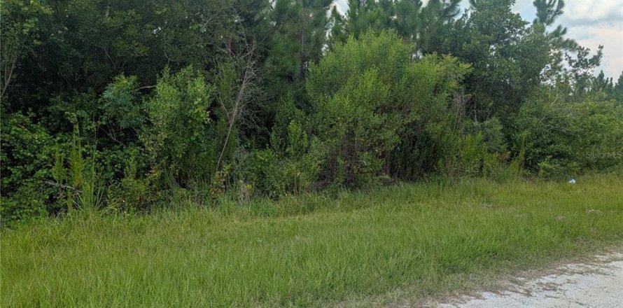 Terrain à Indian lake estates, Floride № 2209347