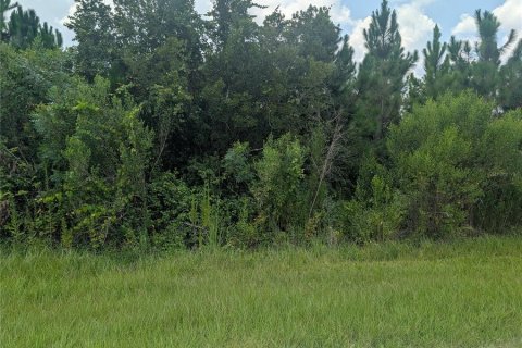 Terrain à vendre à Indian lake estates, Floride № 2209347 - photo 2