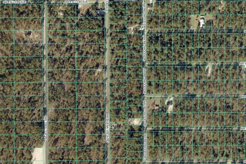Land in Dunnellon, Florida № 2165322 - photo 3