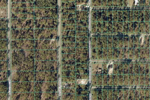 Land in Dunnellon, Florida № 2165322 - photo 2