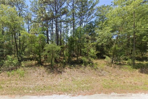 Land in Dunnellon, Florida № 2165322