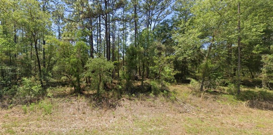 Land in Dunnellon, Florida № 2165322