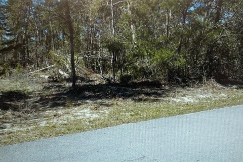 Land in Homosassa, Florida № 2163433 - photo 5