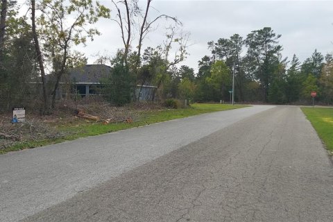 Land in Homosassa, Florida № 2163433 - photo 3