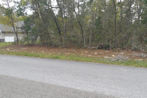 Land in Homosassa, Florida № 2163433