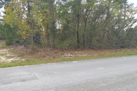 Land in Homosassa, Florida № 2163433 - photo 2