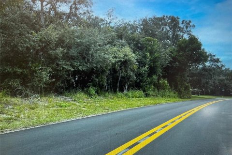 Land in Homosassa, Florida № 2163433 - photo 4