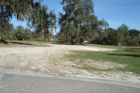 Terrain à vendre à Lakeland, Floride № 1519683 - photo 4