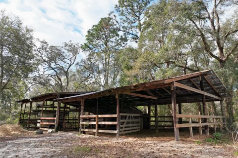 House in Ocala, Florida 3 bedrooms № 1499737 - photo 30