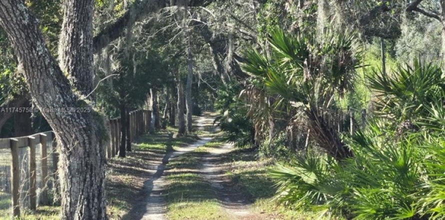 House in Ocala, Florida 3 bedrooms № 1499737