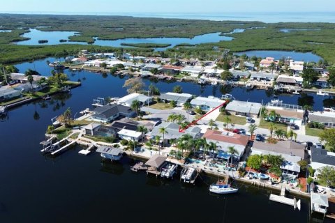 Villa ou maison à vendre à Hudson, Floride: 3 chambres, 163.6 m2 № 2199999 - photo 2