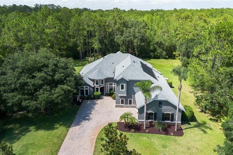 House in Orlando, Florida 6 bedrooms, 406.73 sq.m. № 1769883 - photo 3
