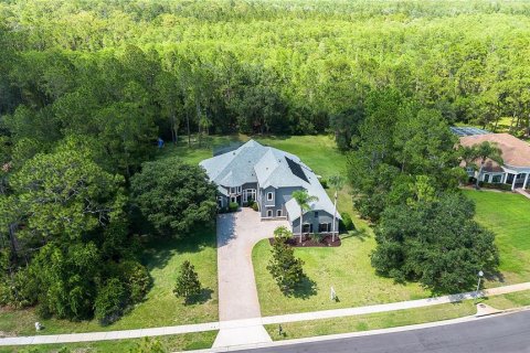 House in Orlando, Florida 6 bedrooms, 406.73 sq.m. № 1769883 - photo 4