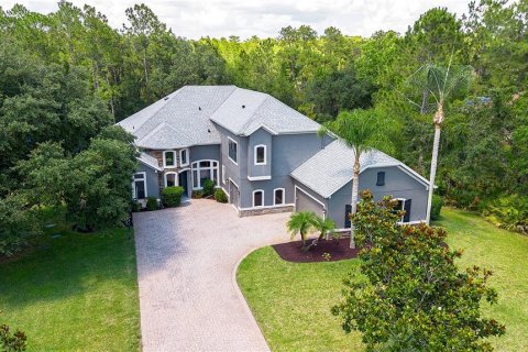 House in Orlando, Florida 6 bedrooms, 406.73 sq.m. № 1769883 - photo 1