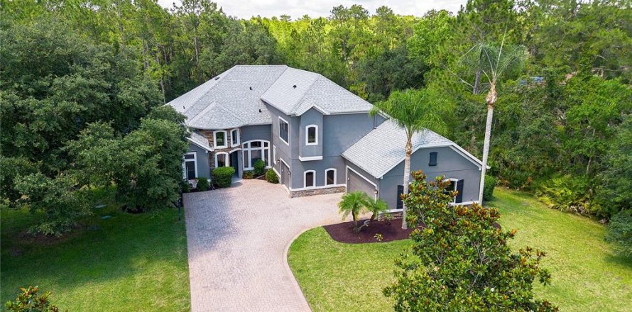 House in Orlando, Florida 6 bedrooms, 406.73 sq.m. № 1769883