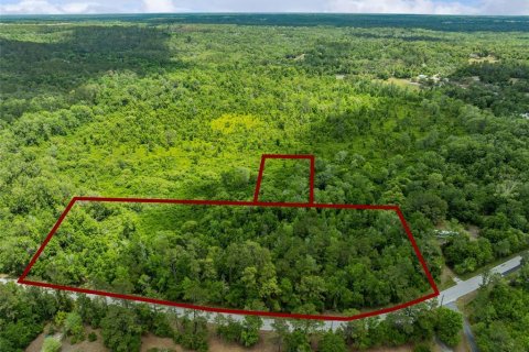 Terrain à Brooksville, Floride № 2140067