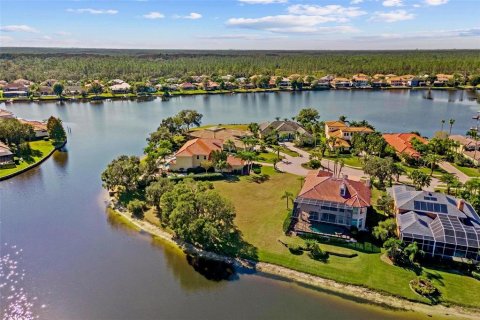 Land in Tampa, Florida № 2232529 - photo 15