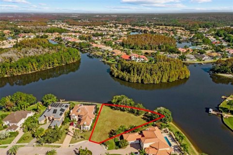 Land in Tampa, Florida № 2232529 - photo 12