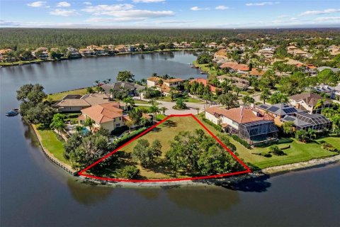 Land in Tampa, Florida № 2232529 - photo 18