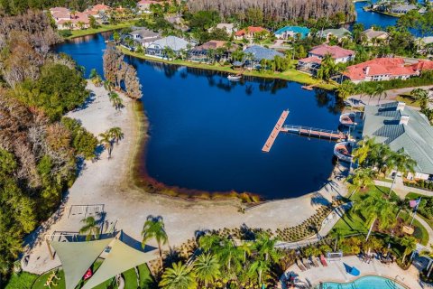 Land in Tampa, Florida № 2232529 - photo 29