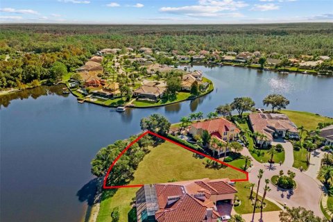 Land in Tampa, Florida № 2232529 - photo 14