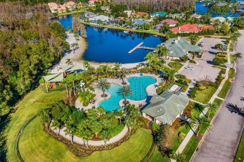 Land in Tampa, Florida № 2232529 - photo 30