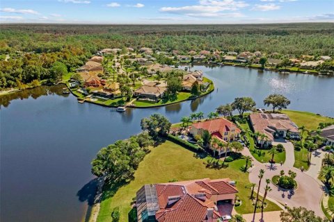 Land in Tampa, Florida № 2232529 - photo 13