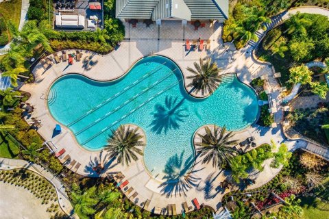Land in Tampa, Florida № 2232529 - photo 27