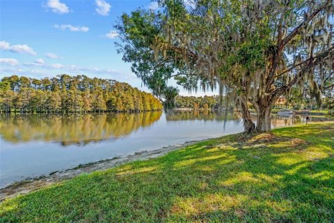 Land in Tampa, Florida № 2232529 - photo 6