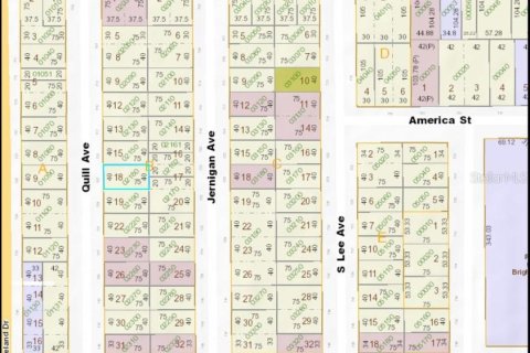 Land in Orlando, Florida № 1906481 - photo 3