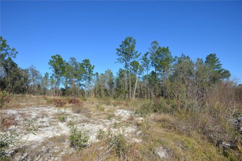 Land in Ocala, Florida № 2160887 - photo 4
