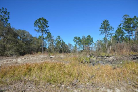 Land in Ocala, Florida № 2160887 - photo 7