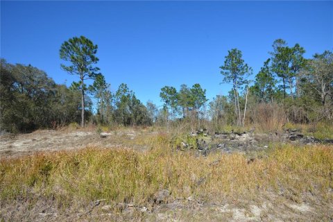 Land in Ocala, Florida № 2160887 - photo 6