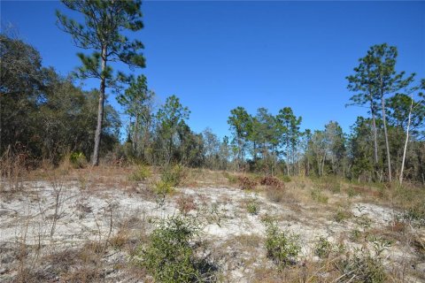 Land in Ocala, Florida № 2160887