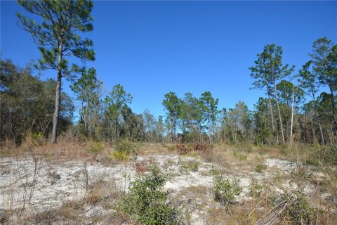 Land in Ocala, Florida № 2160887 - photo 5