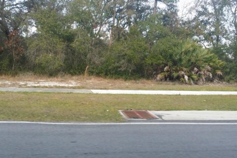 Immobilier commercial à vendre à Deltona, Floride № 212787 - photo 4