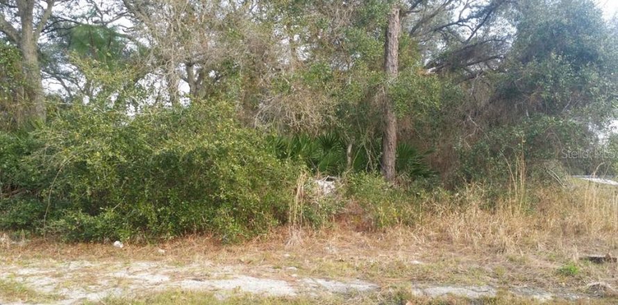 Immobilier commercial à Deltona, Floride № 212787