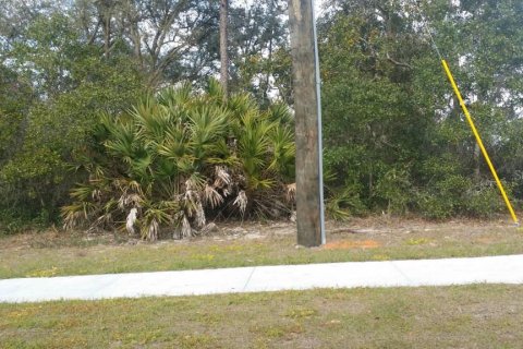 Immobilier commercial à vendre à Deltona, Floride № 212787 - photo 2