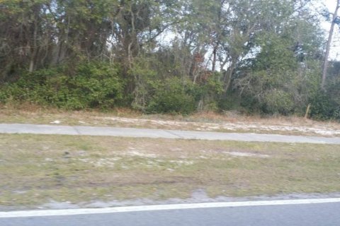 Immobilier commercial à vendre à Deltona, Floride № 212787 - photo 3