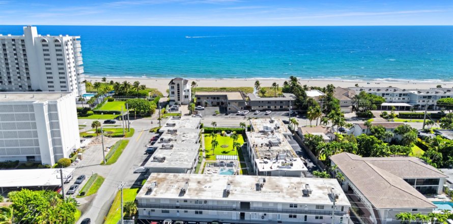 Condo à Deerfield Beach, Floride, 1 chambre № 2432918