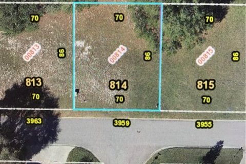 Land in Zellwood, Florida № 2162972