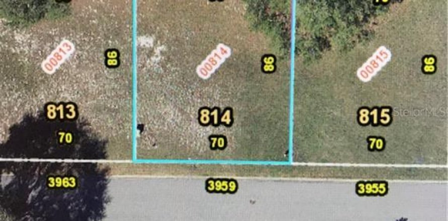 Land in Zellwood, Florida № 2162972