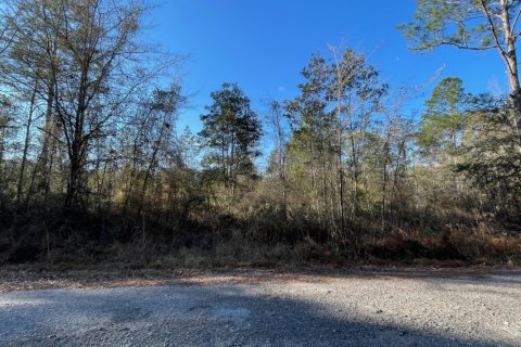 Land in Ponce de Leon, Florida № 559275 - photo 1