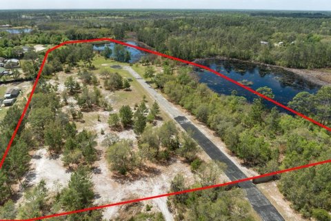 Land in Eustis, Florida № 2195187